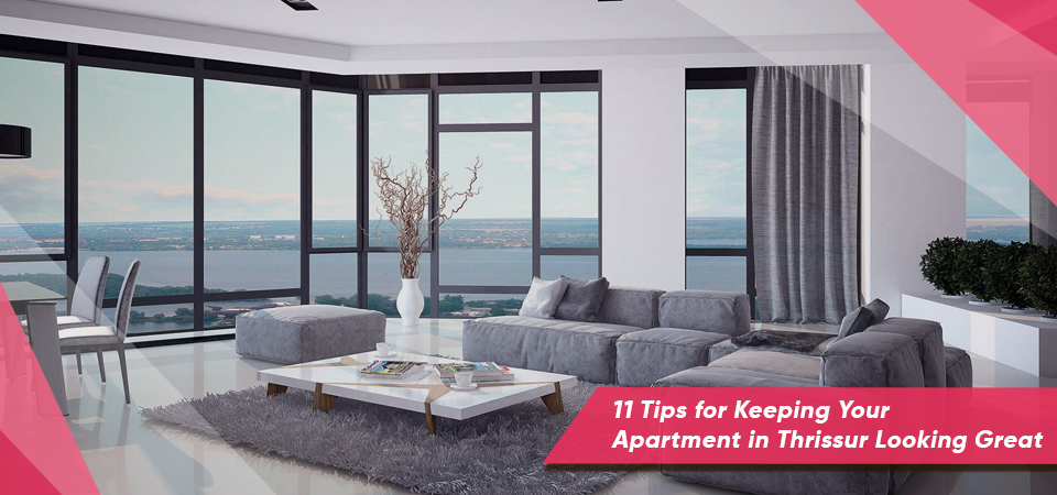 11 Tips for Keeping Your Apartment in Thrissur Looking Great