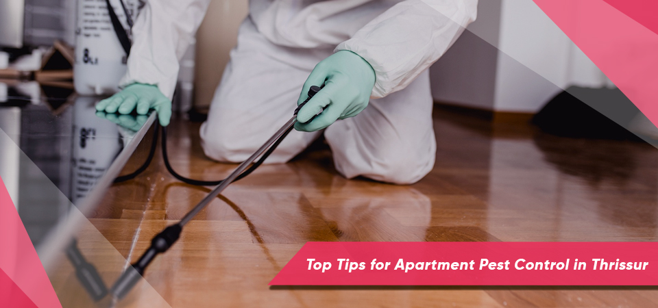 Top Tips for Apartment Pest Control in Thrissur